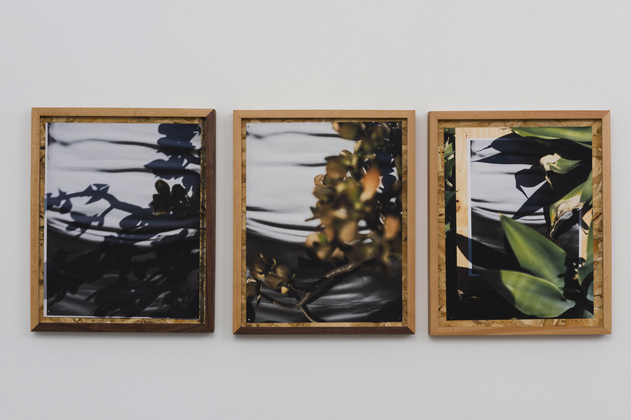 圖四、從左至右《庫卡蒙格牧場 34.1064° N, 117.5931° W. 》2018《回聲公園 34.0782° N, 118.2606° W.》 2018《康普頓 33.8958° N, 118.2201° W. 2018》David Alekhuogie